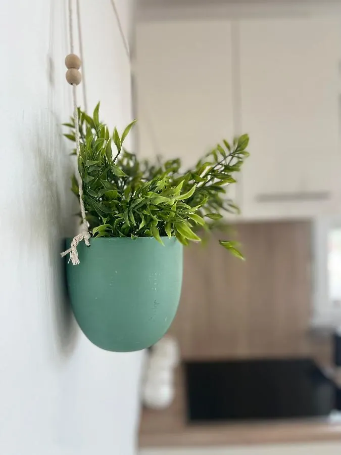 Apartments Vukancic Novigrad Istria